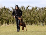 Luna training with Bastiaan de Rijk 
